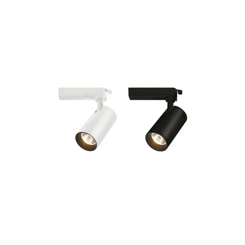 FCS-Lens guide downlight