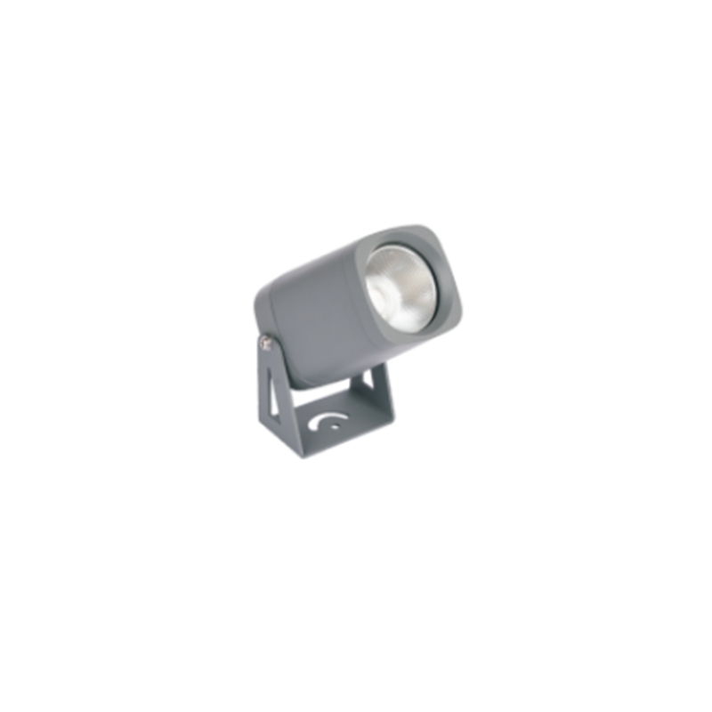 FCS-F5P-20W