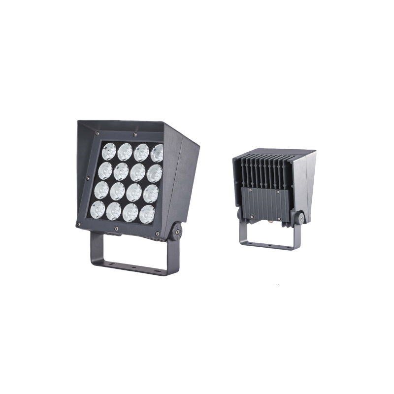 FCS-F10P54W
