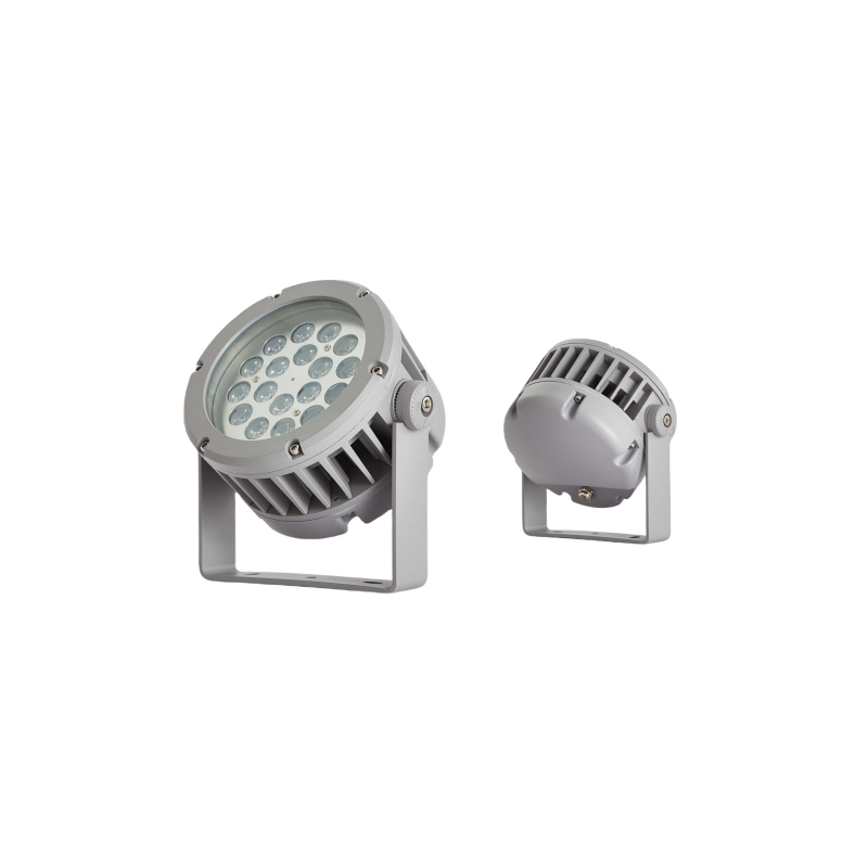 FCS-F19P-24W