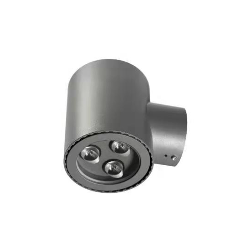 FCS-2W100-24W